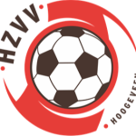 HZVV队标